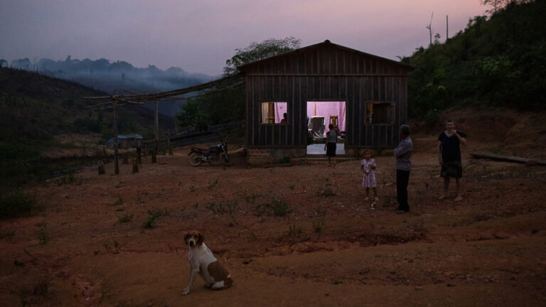 Por que os desmatadores investem em destruir a floresta amazônica – 4: dinâmica da ocupação em Apuí