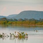 Tentativa de anular ampliação da Estação Ecológica de Taiamã é inconstitucional, diz MPF