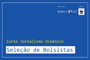 WWF-Brasil financia 50 bolsas para curso de Jornalismo Oceânico
