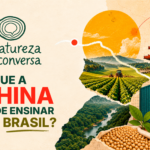 A Natureza da Conversa #1 – Como o Brasil pode aproveitar a transição ecológica da China