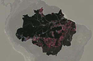 Amazônia perdeu 690 mil árvores por dia a mais com Bolsonaro do que com Lula 