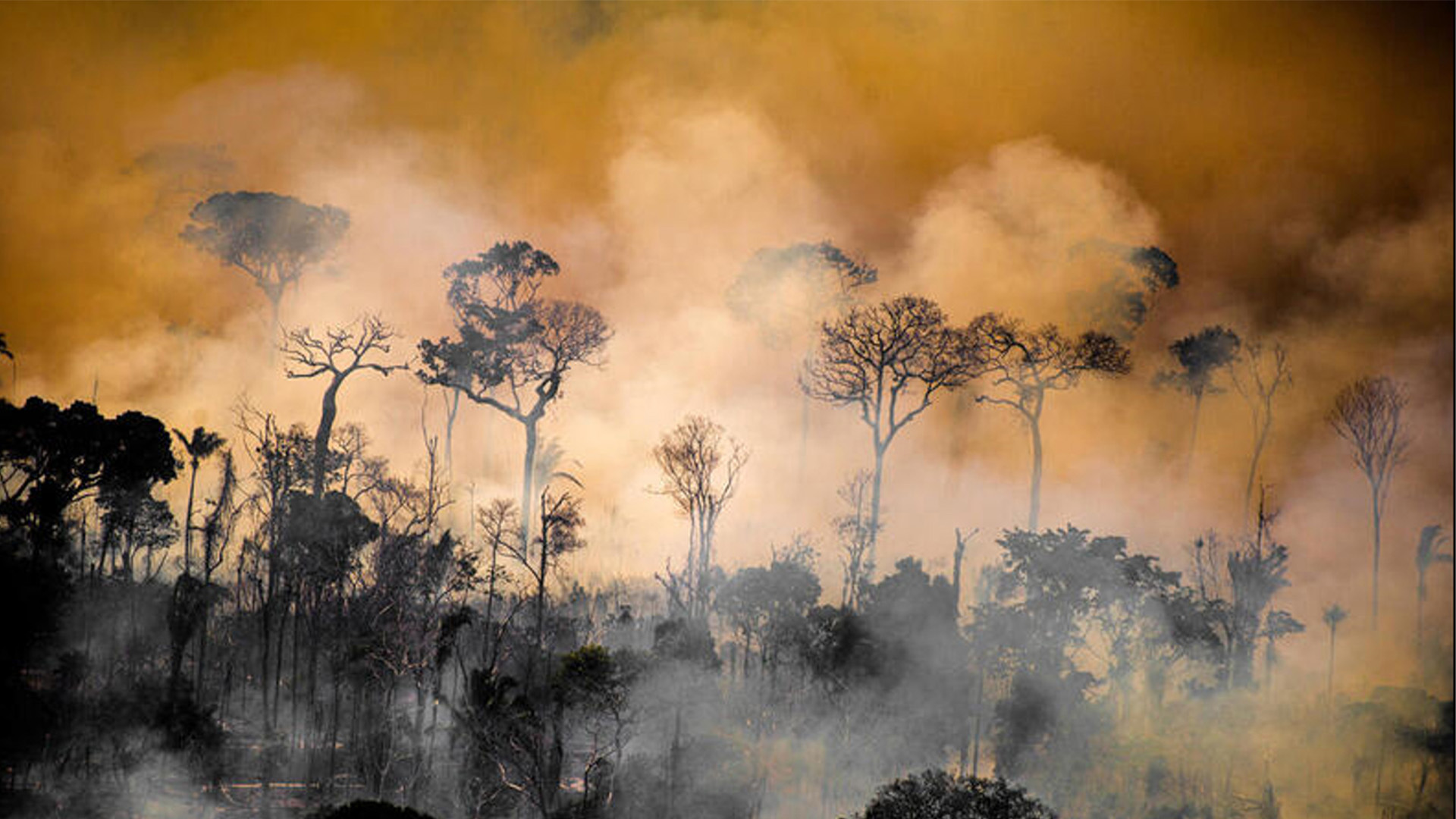 Desmatamento e um futuro perigoso em Lábrea – 4: classificação dos padrões e trajetórias do desmatamento