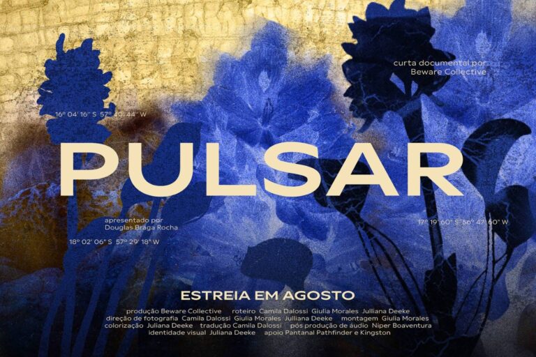 Documentário apresenta o ritmo das águas do Pantanal e a vida que elas sustentam