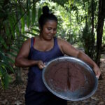 Entre a fartura e a escassez, o dinheiro não compra o que a floresta deixou de produzir
