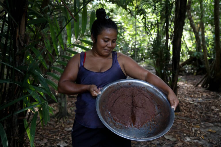 Entre a fartura e a escassez, o dinheiro não compra o que a floresta deixou de produzir