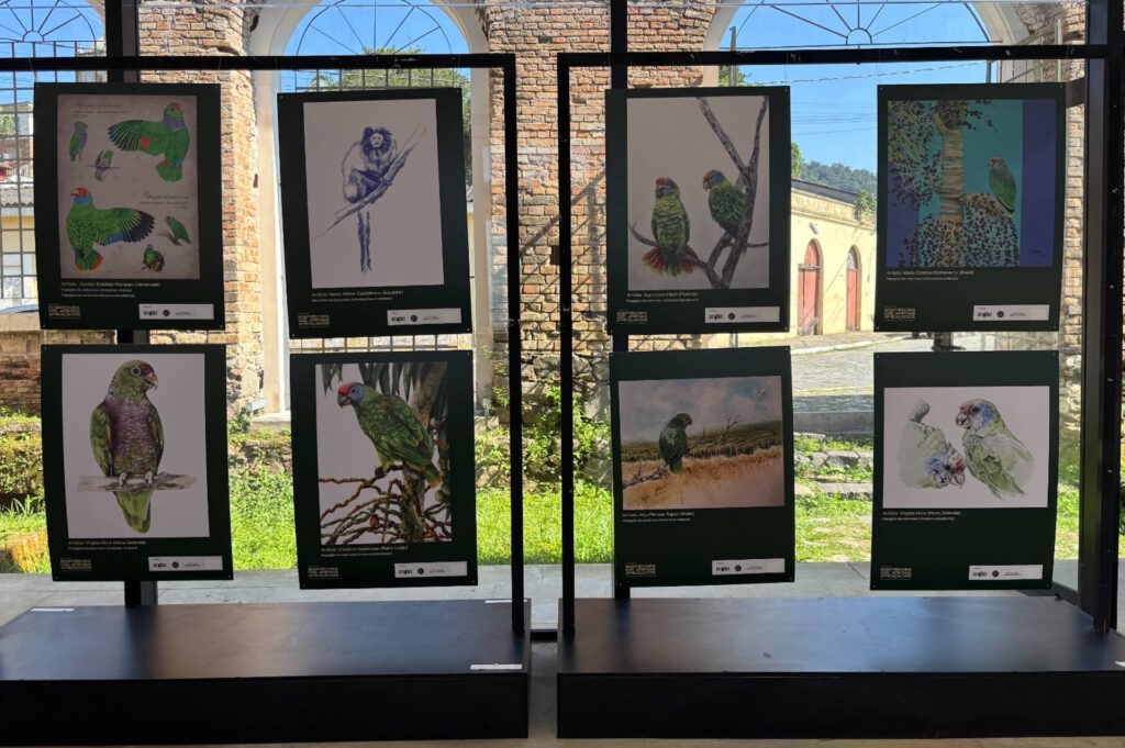 Exposição reúne artistas de nove países em defesa de espécies ameaçadas da Mata Atlântica