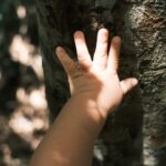 Lei que garante direito de crianças e adolescentes à natureza é sancionada