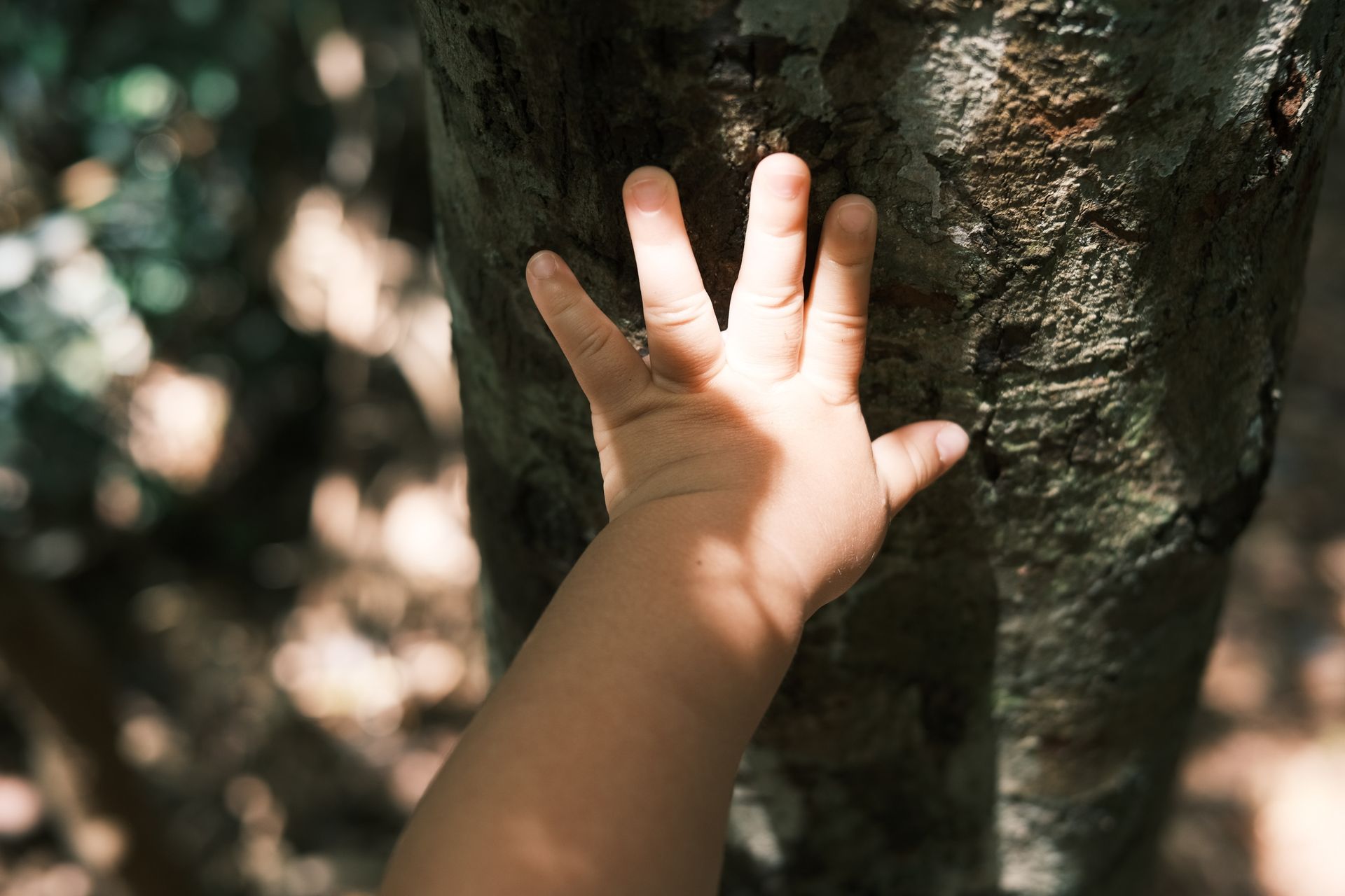 Lei que garante direito de crianças e adolescentes à natureza é sancionada