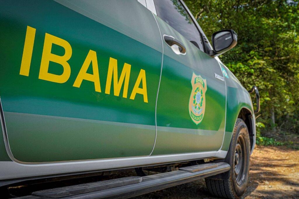 Levantamento aponta 240 candidatos com R$ 213,5 milhões em multas ambientais