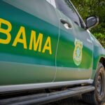 Levantamento aponta 240 candidatos com R$ 213,5 milhões em multas ambientais