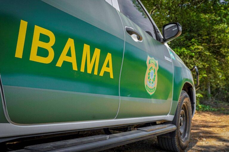 Levantamento aponta 240 candidatos com R$ 213,5 milhões em multas ambientais