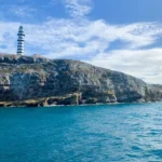 Projeto prevê restauração de recifes de coral em quatro estados brasileiros