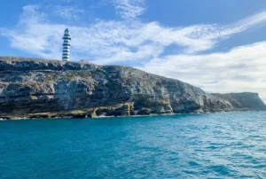 Projeto prevê restauração de recifes de coral em quatro estados brasileiros