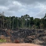 SEMA lança “cortina de fumaça” sobre origem da fumaça em Manaus e encobre BR-319 como causa