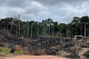 SEMA lança “cortina de fumaça” sobre origem da fumaça em Manaus e encobre BR-319 como causa