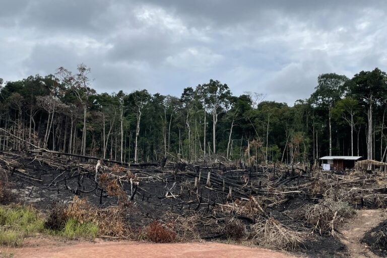 SEMA lança “cortina de fumaça” sobre origem da fumaça em Manaus e encobre BR-319 como causa
