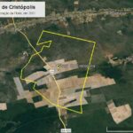Vira lei projeto que extingue floresta nacional “fantasma” na Bahia