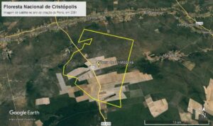 Vira lei projeto que extingue floresta nacional “fantasma” na Bahia