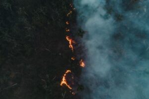 Adaptação climática é por conta própria no Amazonas