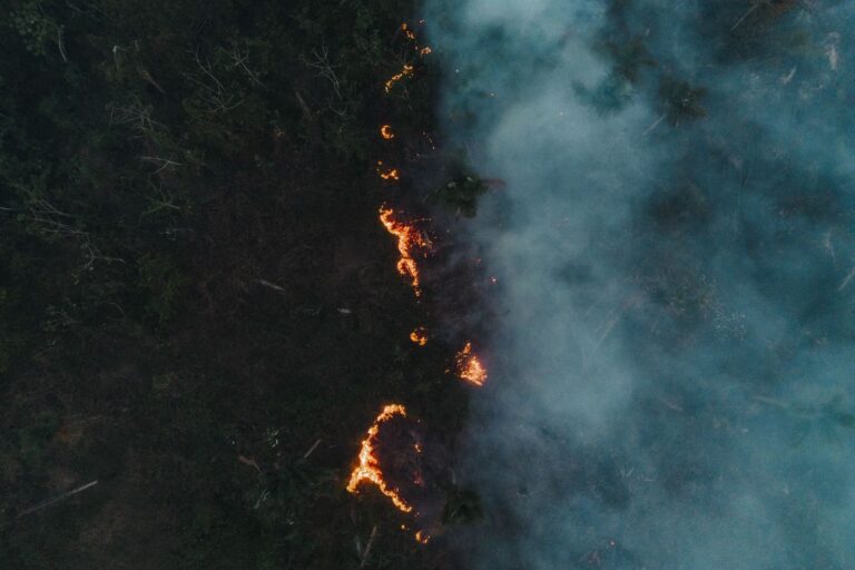 Adaptação climática é por conta própria no Amazonas