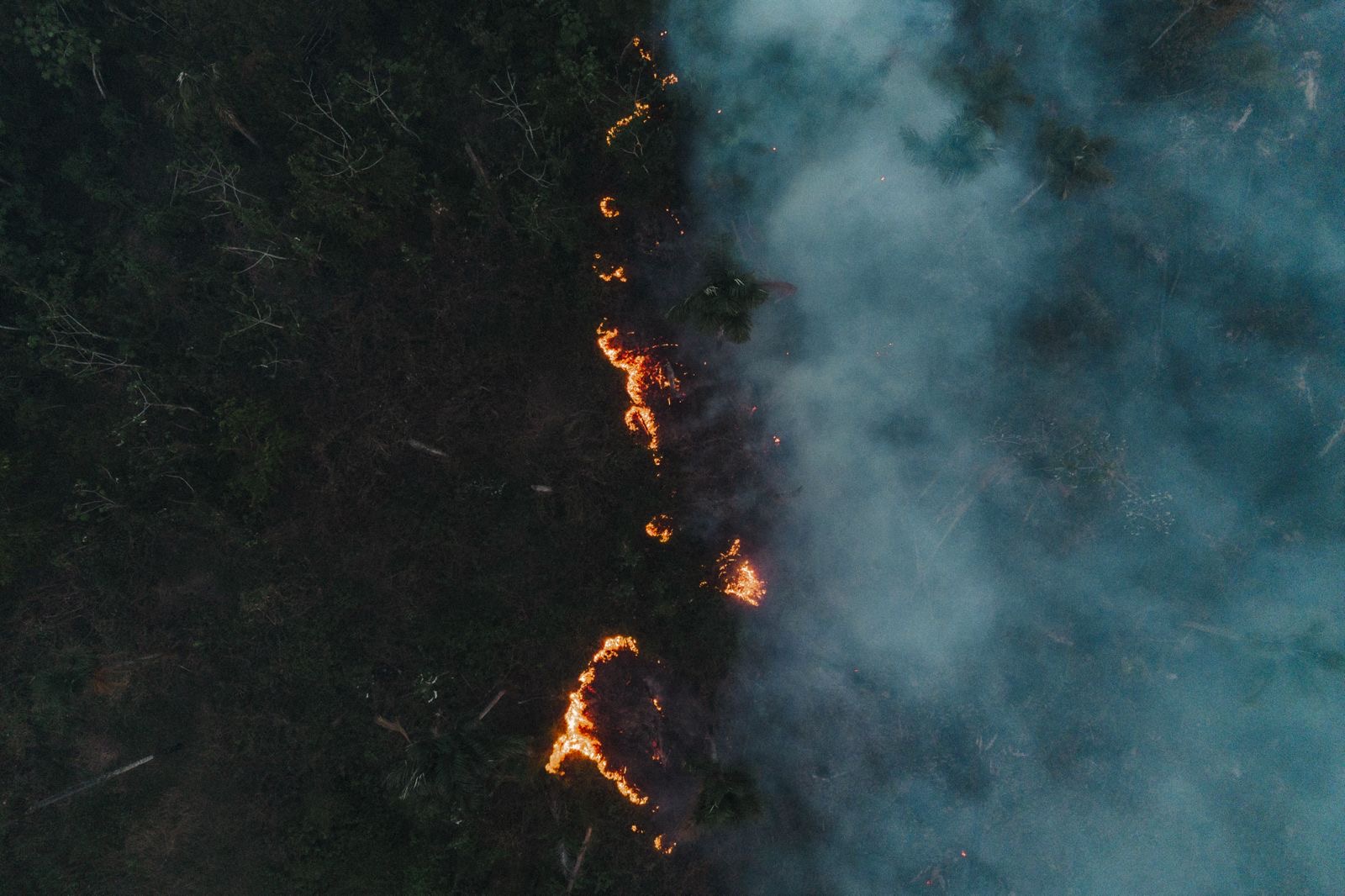 Adaptação climática é por conta própria no Amazonas