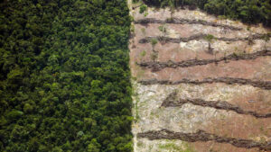 Amazônia: Lula combate a devastação; Flávio acaba com regras