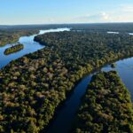 Amazônia registra menor desmatamento em unidades de conservação federais desde 2008
