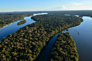 Amazônia registra menor desmatamento em unidades de conservação federais desde 2008