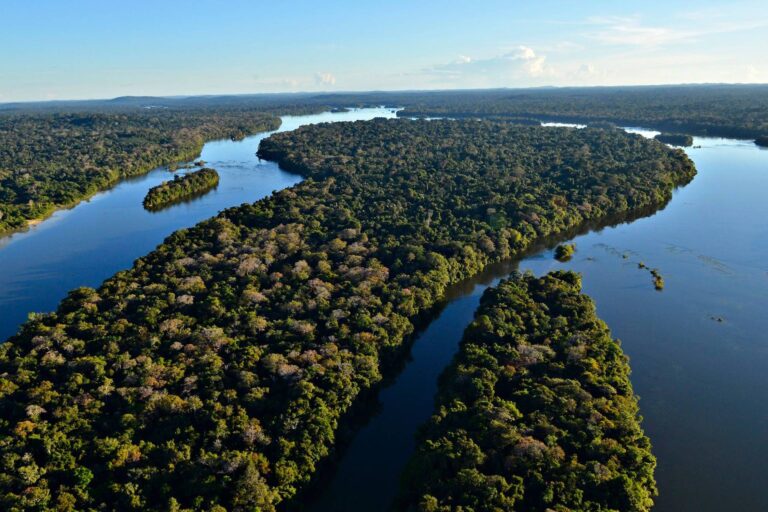 Amazônia registra menor desmatamento em unidades de conservação federais desde 2008