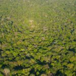 Amazônia tem a menor taxa de desmatamento já registrada pelo Inpe