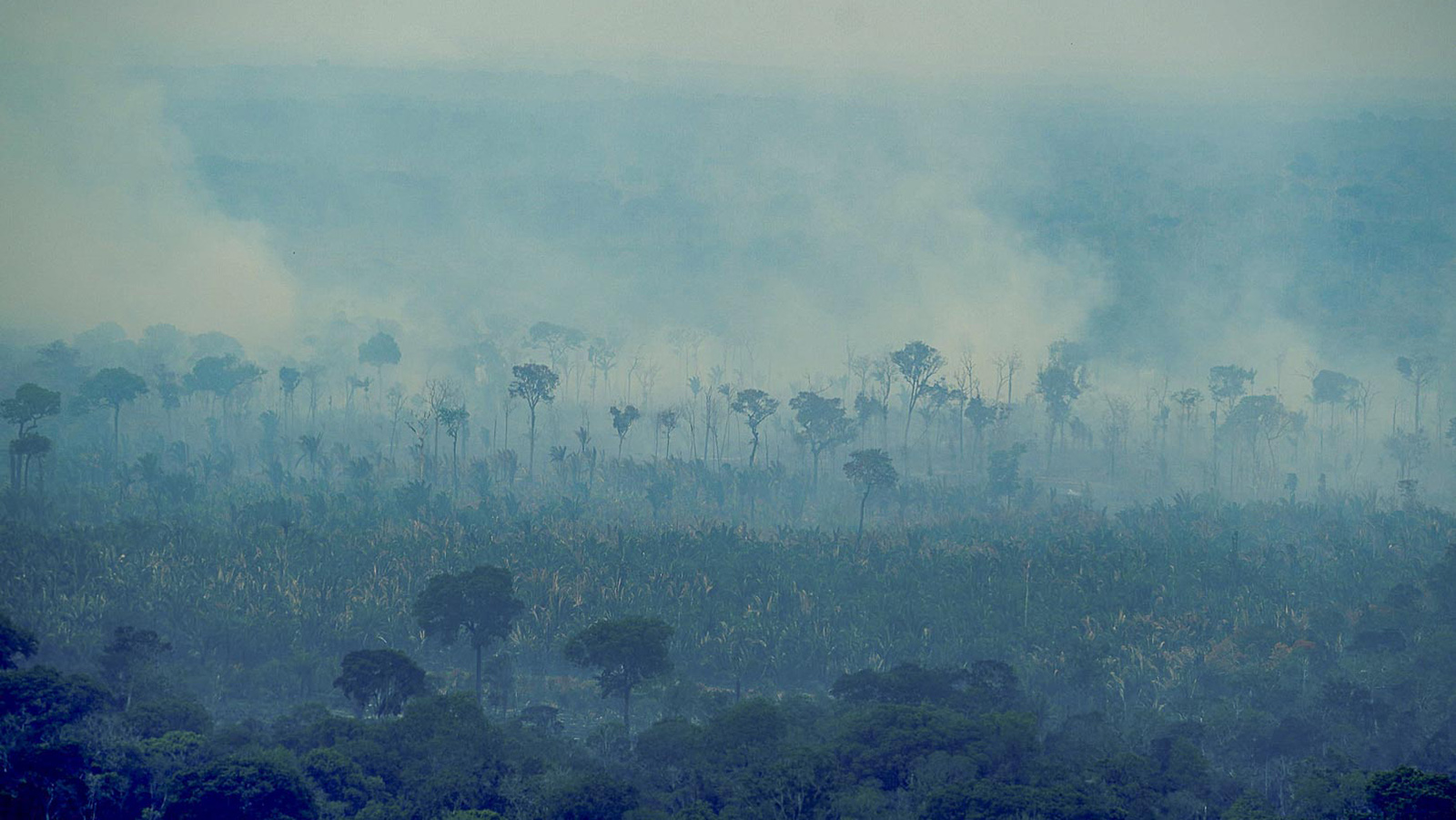 Ibama identifica uso do fogo para ampliar desmatamento e pastagens no Amazonas