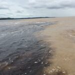 Navegando pelo retrocesso – ((o))eco