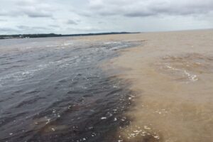 Navegando pelo retrocesso - ((o))eco