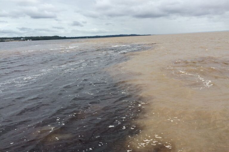 Navegando pelo retrocesso - ((o))eco