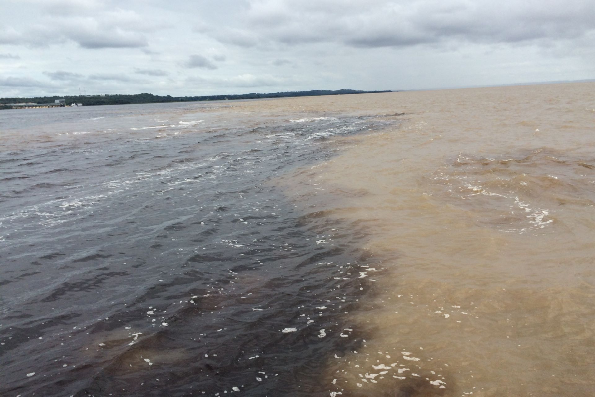 Navegando pelo retrocesso – ((o))eco