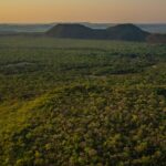 Os corredores ecológicos que dão esperança à onça-pintada no Cerrado