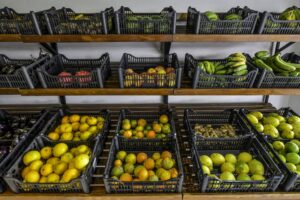 Políticas alimentares foram ‘totalmente degradadas’ sob Bolsonaro, afirma secretária 