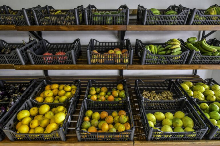 Políticas alimentares foram ‘totalmente degradadas’ sob Bolsonaro, afirma secretária 