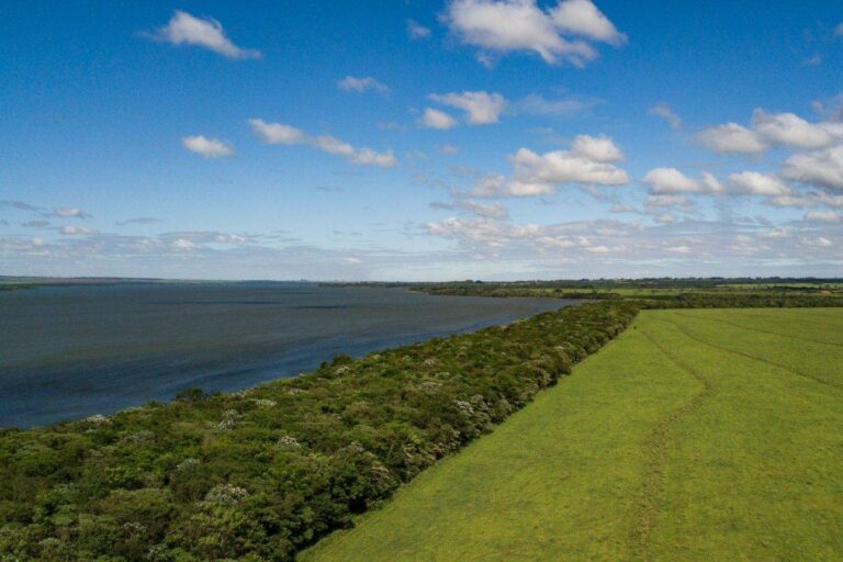 Proteger a biodiversidade exige conectar territórios