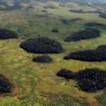 Vegetação interrompida: levantamento mostra avanço da fragmentação de habitats no Brasil