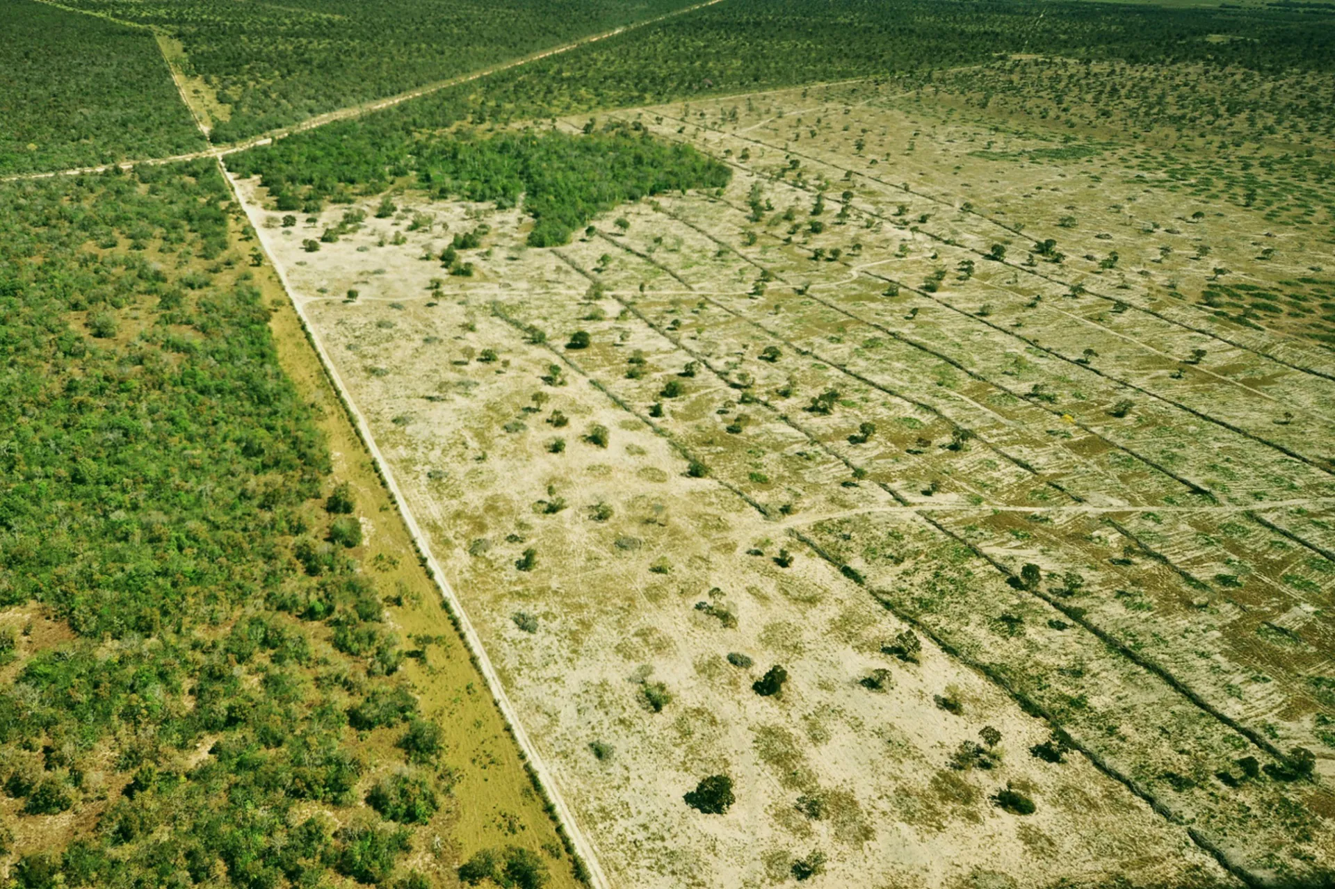 A hora de proteger o Pantanal é agora, defendem entidades civis