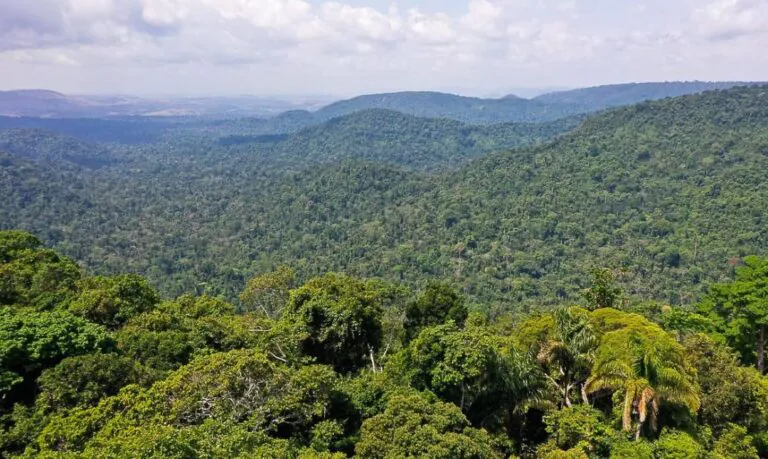 vice-presidente_da_republica_hamilton_mourao_carajas_missoes_diplomaticas_a_amazonia_oriental0809210165-_20230915-151444_1