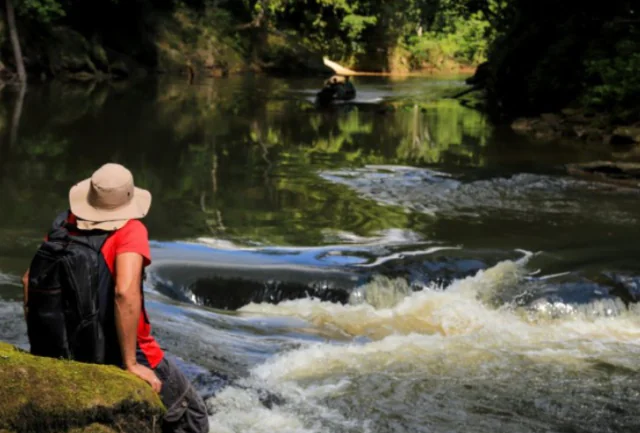 Banho de floresta: prática propõe aproximação do homem com a natureza
