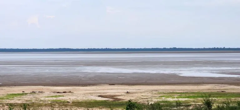 Com seca extrema, rio Amazonas deve baixar históricos 8 metros em setembro