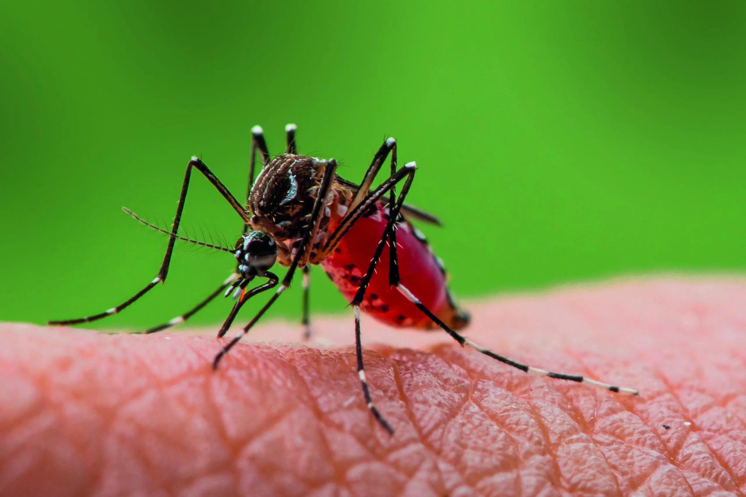 Espécies invasoras geram prejuízos anuais superiores a US$ 423 bilhões