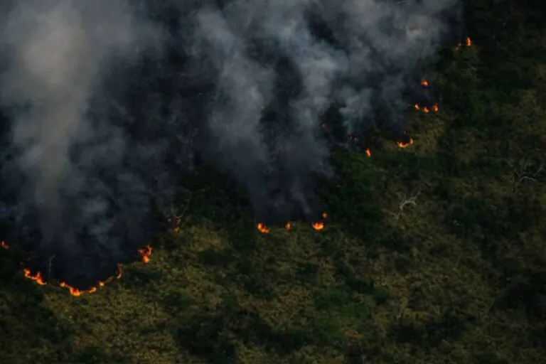 Não caia no erro: nova meta climática não representa aumento de ambição