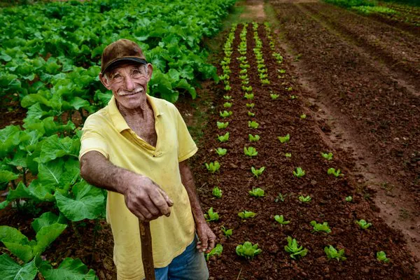 Quem foram os primeiros fazendeiros no mundo?