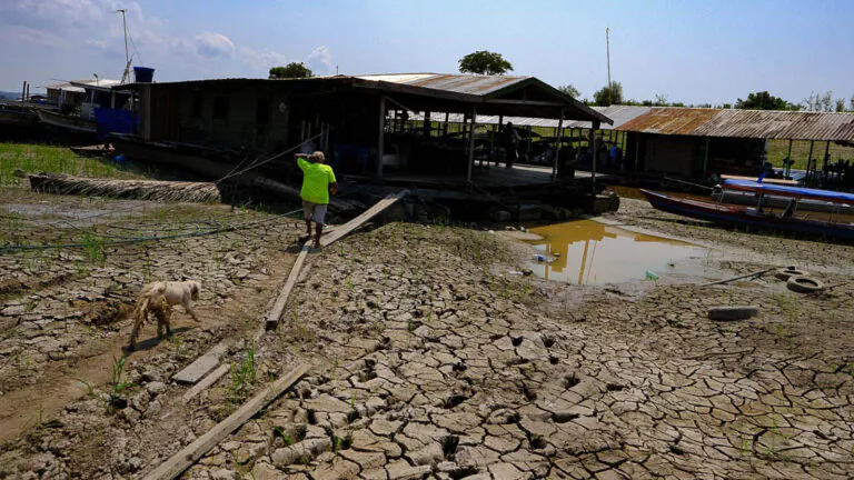 A seca de 2023 na Amazônia terá muito estrago pela frente