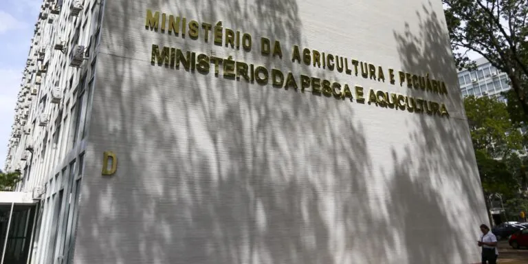 Força-tarefa apreende mais de 6 mil garrafas de azeite falsificado