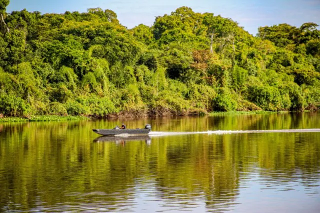Indicadores ambientais e de produtividade apontam que Rondônia avança em sustentabilidade